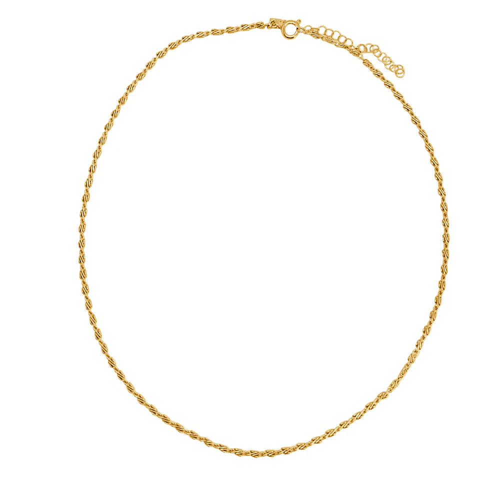 Astropyga Necklace - Image 4